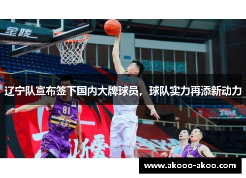 辽宁队宣布签下国内大牌球员，球队实力再添新动力